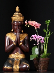 Buddha's Disciple, Praying Orant of Angkor Wat Statue 20"